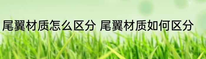 尾翼材质怎么区分 尾翼材质如何区分