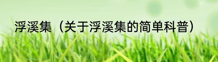 浮溪集（关于浮溪集的简单科普）