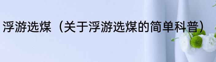 浮游选煤（关于浮游选煤的简单科普）