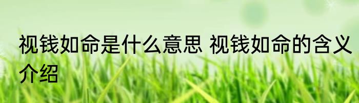 视钱如命是什么意思 视钱如命的含义介绍