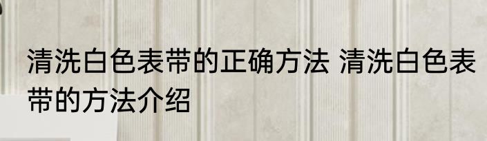 清洗白色表带的正确方法 清洗白色表带的方法介绍