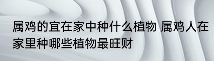 属鸡的宜在家中种什么植物 属鸡人在家里种哪些植物最旺财