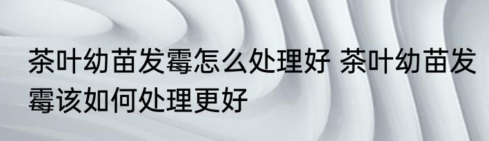 茶叶幼苗发霉怎么处理好 茶叶幼苗发霉该如何处理更好