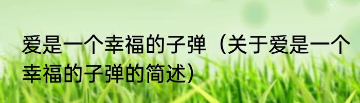 爱是一个幸福的子弹（关于爱是一个幸福的子弹的简述）