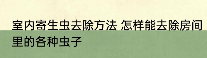 室内寄生虫去除方法 怎样能去除房间里的各种虫子