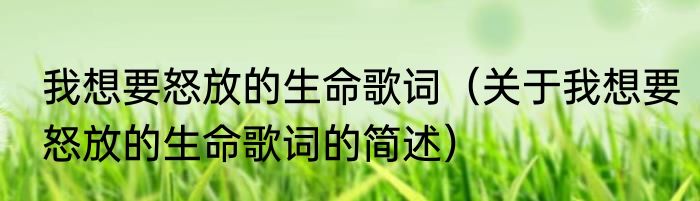 我想要怒放的生命歌词（关于我想要怒放的生命歌词的简述）