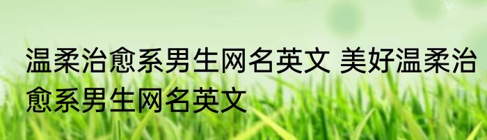 温柔治愈系男生网名英文 美好温柔治愈系男生网名英文
