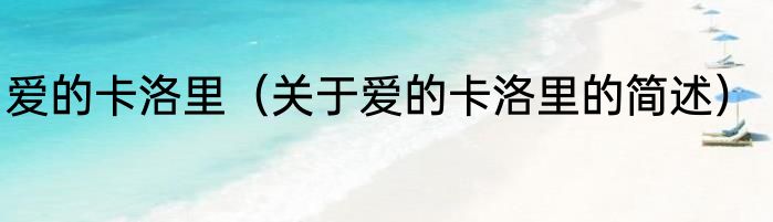 爱的卡洛里（关于爱的卡洛里的简述）