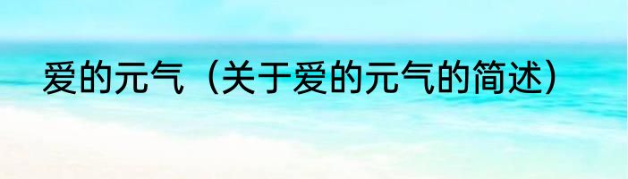 爱的元气（关于爱的元气的简述）