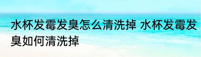 水杯发霉发臭怎么清洗掉 水杯发霉发臭如何清洗掉