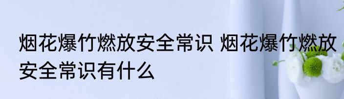 烟花爆竹燃放安全常识 烟花爆竹燃放安全常识有什么
