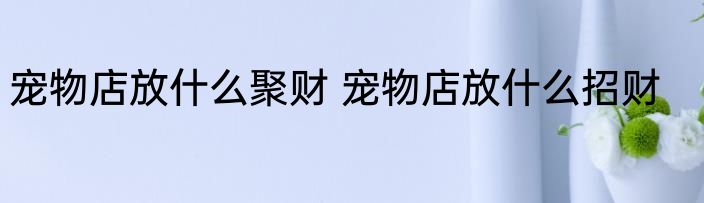 宠物店放什么聚财 宠物店放什么招财