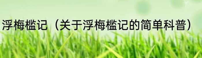 浮梅槛记（关于浮梅槛记的简单科普）