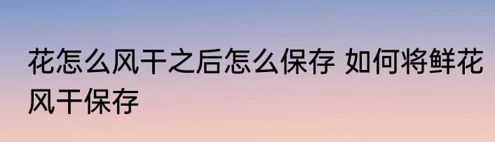 花怎么风干之后怎么保存 如何将鲜花风干保存