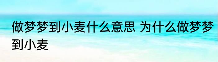 做梦梦到小麦什么意思 为什么做梦梦到小麦