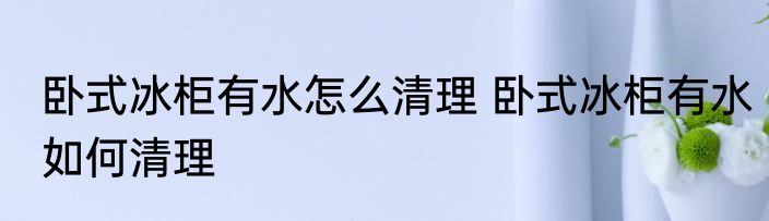 卧式冰柜有水怎么清理 卧式冰柜有水如何清理