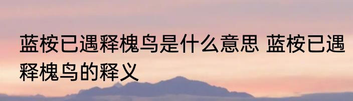 蓝桉已遇释槐鸟是什么意思 蓝桉已遇释槐鸟的释义