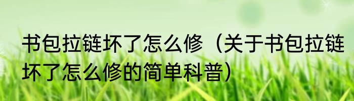 书包拉链坏了怎么修（关于书包拉链坏了怎么修的简单科普）