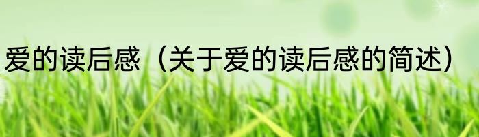 爱的读后感（关于爱的读后感的简述）