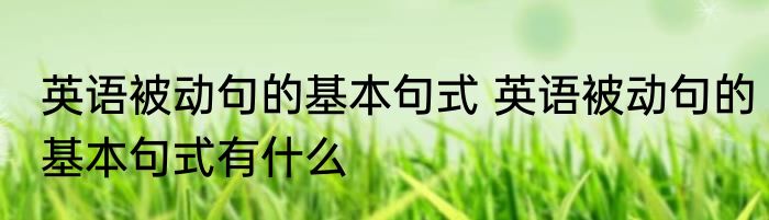 英语被动句的基本句式 英语被动句的基本句式有什么