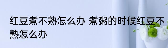 红豆煮不熟怎么办 煮粥的时候红豆不熟怎么办