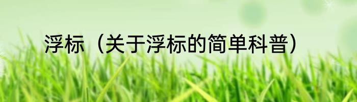 浮标（关于浮标的简单科普）