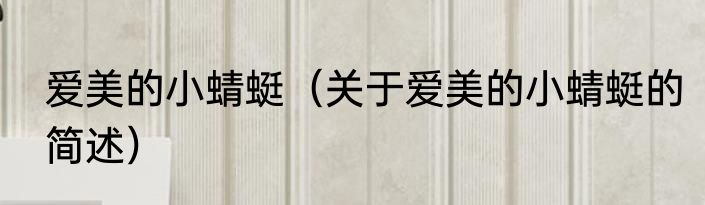 爱美的小蜻蜓（关于爱美的小蜻蜓的简述）