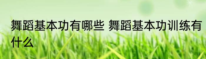 舞蹈基本功有哪些 舞蹈基本功训练有什么