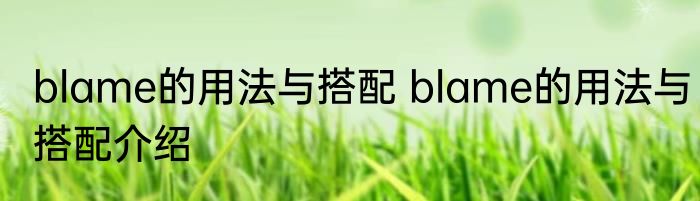 blame的用法与搭配 blame的用法与搭配介绍