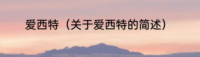 爱西特（关于爱西特的简述）