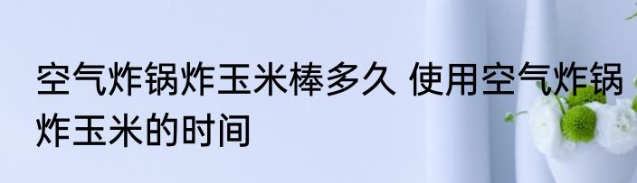 空气炸锅炸玉米棒多久 使用空气炸锅炸玉米的时间