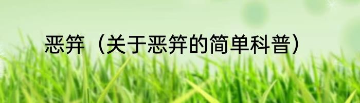 恶笄（关于恶笄的简单科普）
