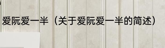 爱阮爱一半（关于爱阮爱一半的简述）