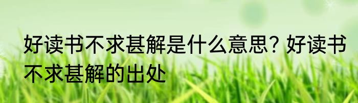 好读书不求甚解是什么意思? 好读书不求甚解的出处