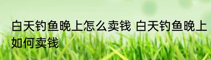白天钓鱼晚上怎么卖钱 白天钓鱼晚上如何卖钱