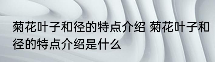 菊花叶子和径的特点介绍 菊花叶子和径的特点介绍是什么