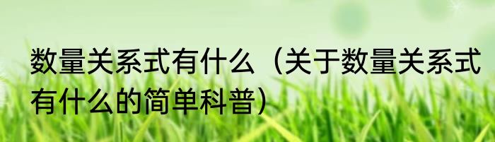 数量关系式有什么（关于数量关系式有什么的简单科普）