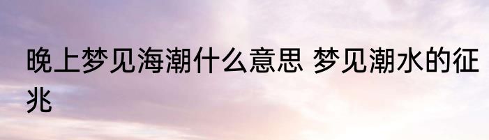 晚上梦见海潮什么意思 梦见潮水的征兆