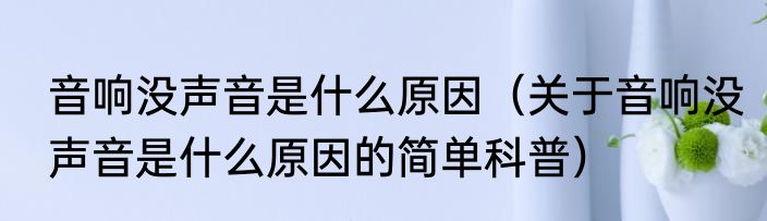 音响没声音是什么原因（关于音响没声音是什么原因的简单科普）