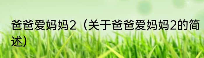 爸爸爱妈妈2（关于爸爸爱妈妈2的简述）