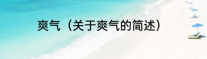 爽气（关于爽气的简述）
