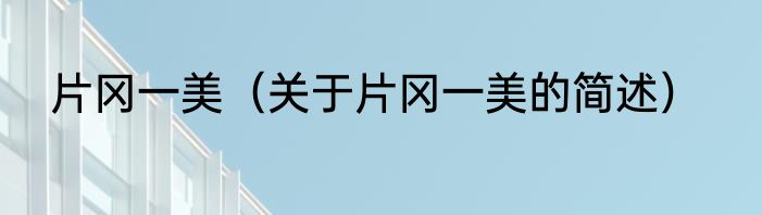 片冈一美（关于片冈一美的简述）