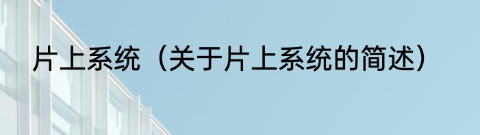 片上系统（关于片上系统的简述）