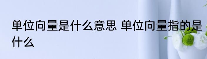 单位向量是什么意思 单位向量指的是什么