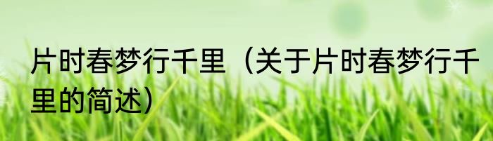 片时春梦行千里（关于片时春梦行千里的简述）