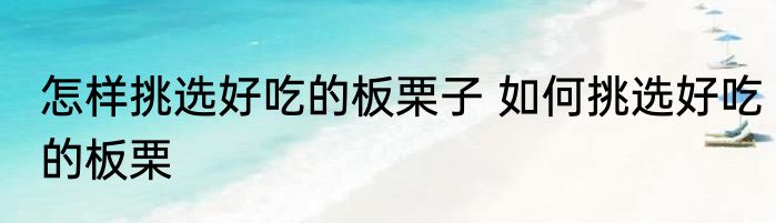 怎样挑选好吃的板栗子 如何挑选好吃的板栗