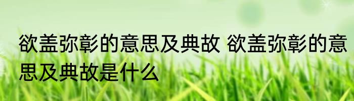 欲盖弥彰的意思及典故 欲盖弥彰的意思及典故是什么