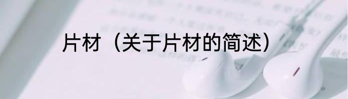 片材（关于片材的简述）