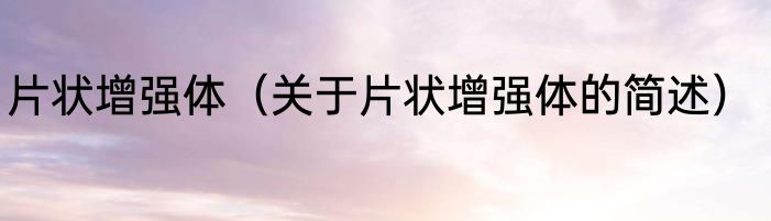 片状增强体（关于片状增强体的简述）