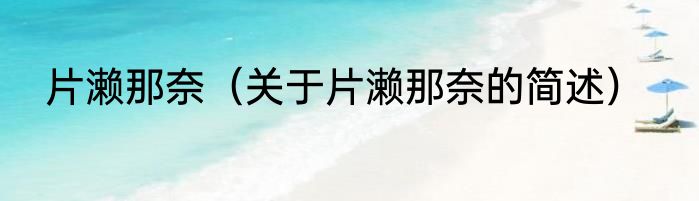片濑那奈（关于片濑那奈的简述）